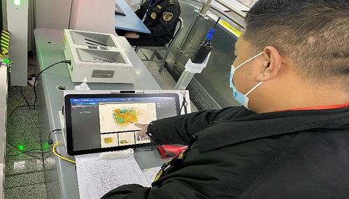 成都地鐵智慧出行新場景 票務(wù)服務(wù)助力科學(xué)防疫與智慧交通建設(shè)